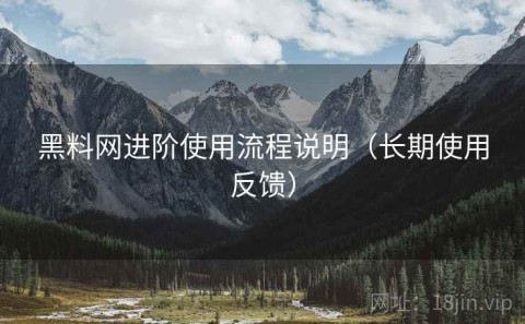 黑料网进阶使用流程说明（长期使用反馈）