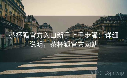 茶杯狐官方入口新手上手步骤：详细说明，茶杯狐官方网站