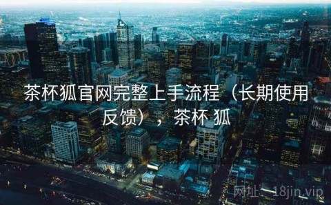 茶杯狐官网完整上手流程（长期使用反馈），茶杯 狐