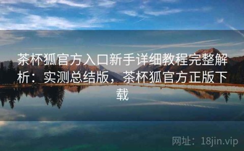 茶杯狐官方入口新手详细教程完整解析：实测总结版，茶杯狐官方正版下载