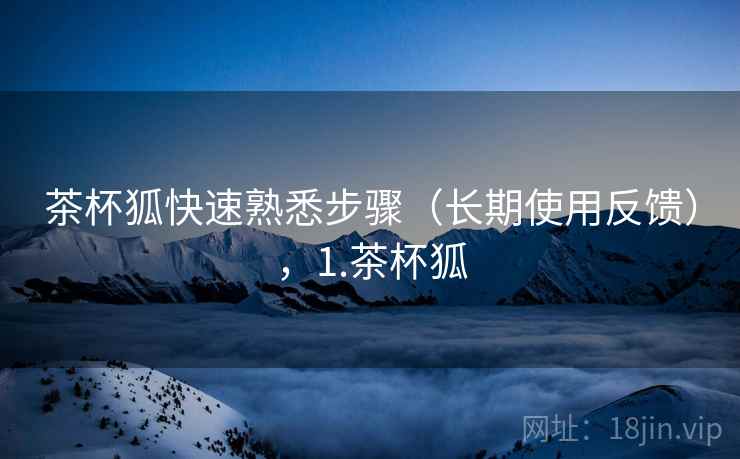 茶杯狐快速熟悉步骤（长期使用反馈），1.茶杯狐