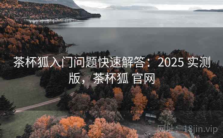 茶杯狐入门问题快速解答：2025 实测版，茶杯狐 官网